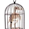 Raben Skelett Im Käfig -Karnevalsbekleidungsgeschäft kraehen skelett im kaefig raben skelett im kaefig skeleton crow in cage 39341 01