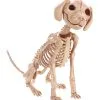 Sitzendes Hundeskelett 30 Cm -Karnevalsbekleidungsgeschäft sitzendes hunde skelett halloween deko skeleton sitting puppy halloween deco 38862 01