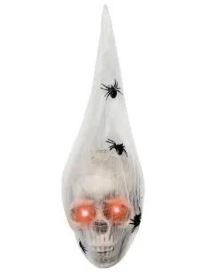 Totenkopf Im Spinnencocon